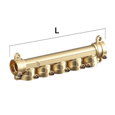 TECO CK2 Distribuitor F13 DN15 fără robineți de izolare