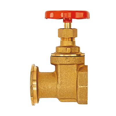 Flamco Meibes - Robinet poartă pentru pompă DN 25