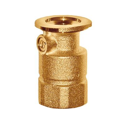 Flamco Meibes - Supapă de sens SB F, 1″–1 1/4″, cu flanșă și filet interior