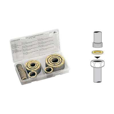 HAAS – Set profesional de garnituri speciale de etanșare pentru fitinguri, grafit/Kevlar®, 160 piese