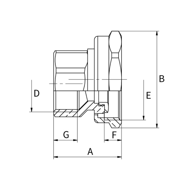 Flamco Simplex - Racord excentric filet interior DN 25